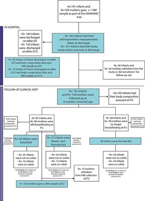 Metabolic Hormone Profiles in Breast Milk From Mothers of Moderate-Late Preterm Infants Are Associated With Growth From Birth to 4 Months in a Sex-Specific Manner